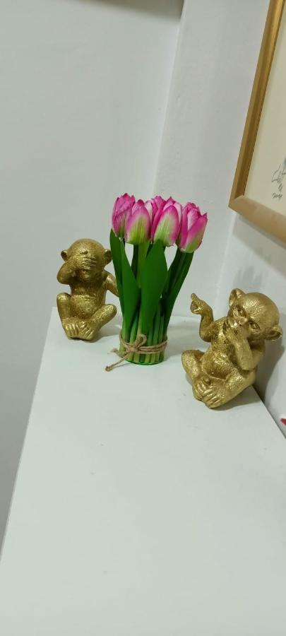 Apartament Old Center Bucuresti 아파트 외부 사진